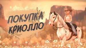 Покупка креольской лошади | Star Stable