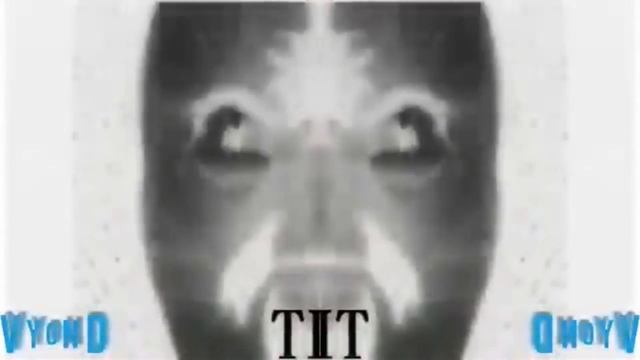 (Movavi Video Editor Plus 14 Test) BND Round 7 (or VII) смотреть онлайн