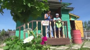 6 соток 8 июня 2020 года. Жара, вода и цветы вокруг декоративного прудика.