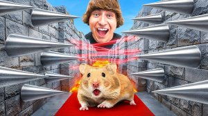 Я построил для хомяка лабиринт как в Майнкрафте!