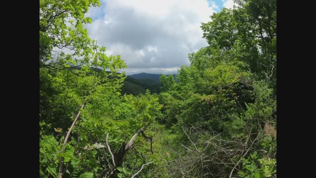 Пешая прогулка у посёлка Небуг в сторону Тюменского / Природа Краснодарского Края