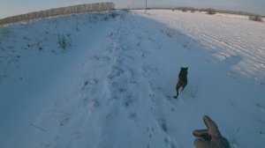 ОХОТА НА ЗАЙЦА ЗИМОЙ 2025