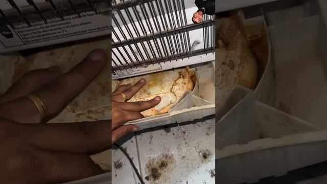 Что делать, если из холодильника течет вода #shorts смотреть онлайн