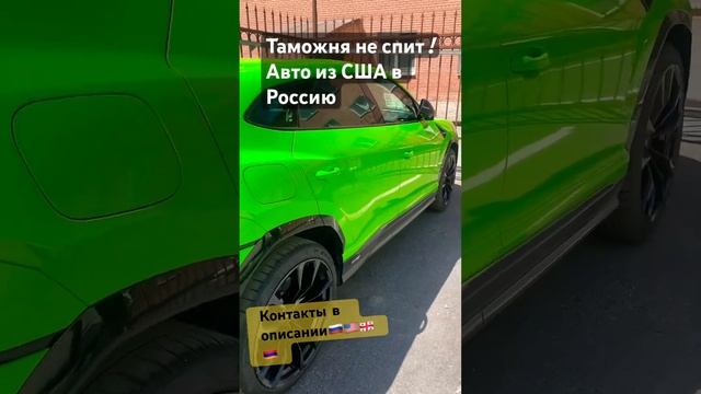 Таможня не спит ! Зверье из США в Россию смотреть онлайн