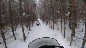 BRPист на Stalker е , а я на BRP прогулка по лесу