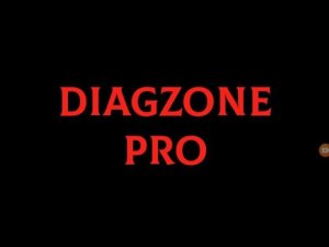 Diagzon детальный обзор программы