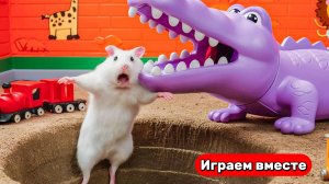 Хомяк выбирается из запутанного лабиринта с ловушками 🐹 Видео для детей