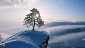 Наслаждайтесь звуками природы, которые помогают восстановить силы и гармонизируют внутренний мир.