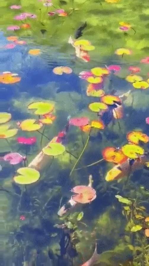 Ловите мгновения ... смотреть онлайн