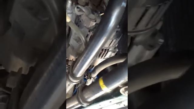 Стучит двигатель 1.9 tdi f8q volvo s40 смотреть онлайн