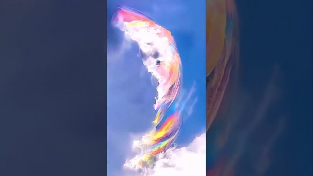 Video5402518655877535313