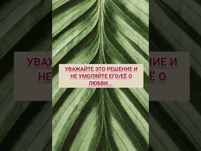 Если вас не любят, НЕ делайте ЭТО! смотреть онлайн