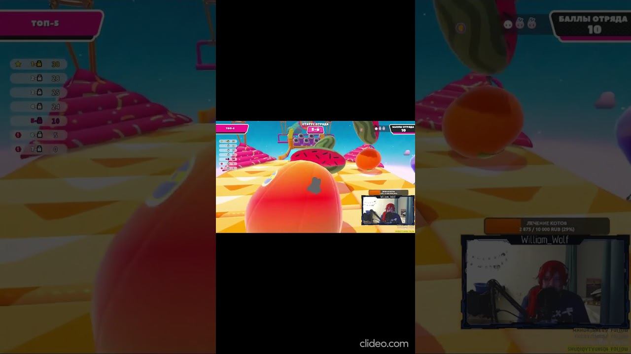 Прикормка для пса