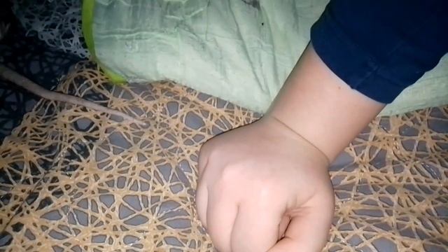 (The Rat's Umka) на русском 🇷🇺 фильма 1 СЕЗОН 7 СЕРИЯ Семья с игорь Воронцова 👥👥👥 🐁