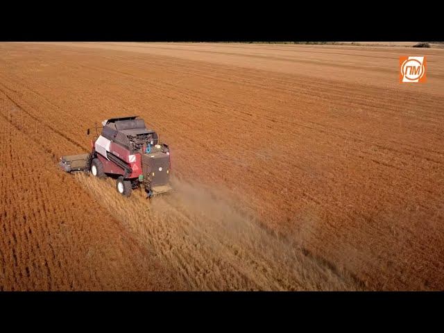 Жатка ОЗОН ПАО "ПЕНЗМАШ" Пензенская область 2023 смотреть онлайн