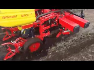 Прямой посев подсолнечника сеялкой MaterMacc PT8100