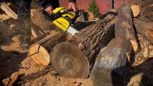 ОБЗОР на бензиновую цепную пилу CHAMPION 372-18