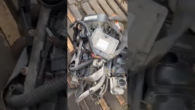 Двигатель BKY VW Polo Audi A2 1.4 i Европа под мкпп . 036100038B . Эндоскопия . заказ 89525130430 смотреть онлайн