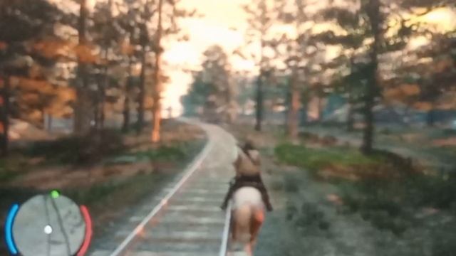 Red Dead Redemption 1 Ps3 Gameplay
играю в RDR 1