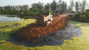 Строительство, дорога на болоте