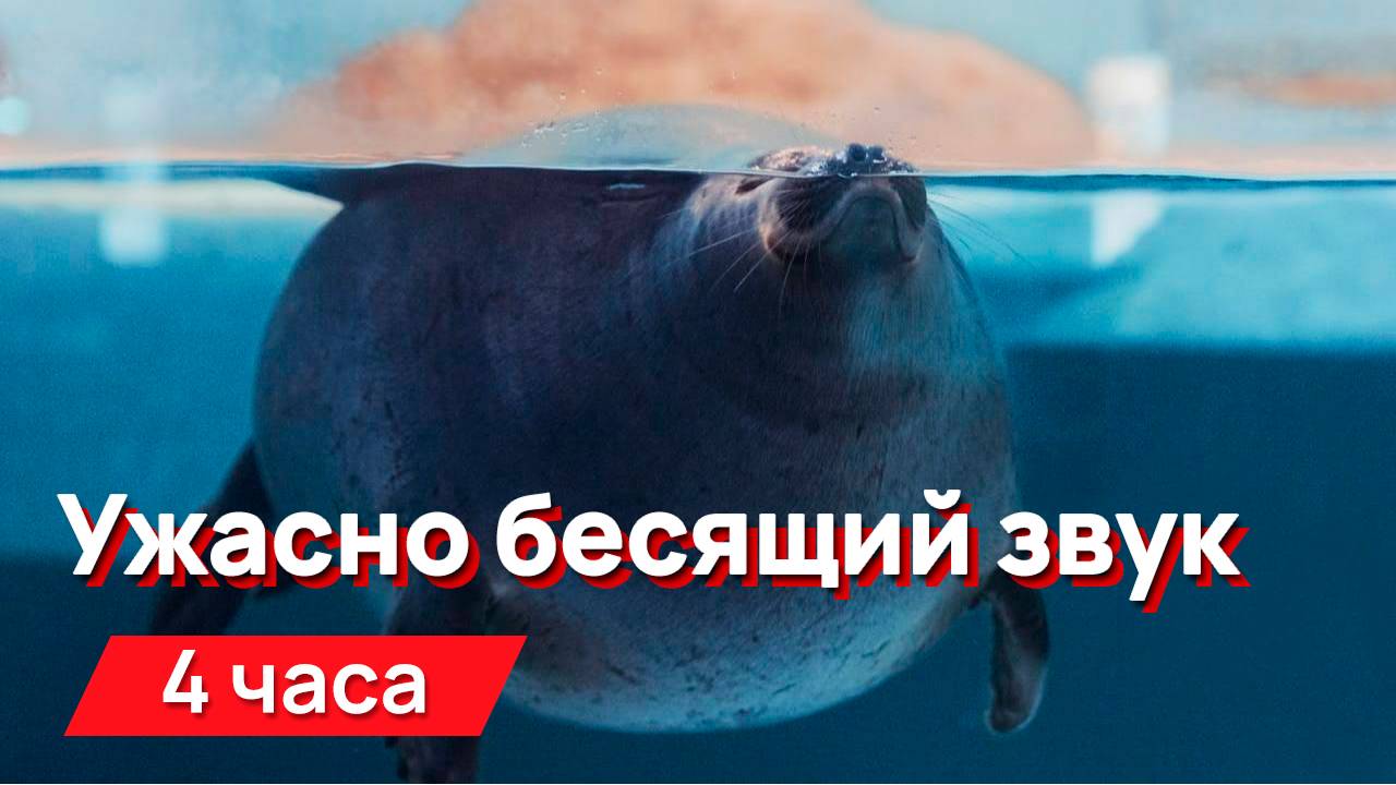 Звуки для соседей - ужасно бесящий надоедливый и трудноописуемый звук (для гурманов)
