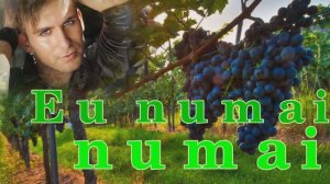 Ионел Истрати " EU Numai, Numai "  ( "Только я")