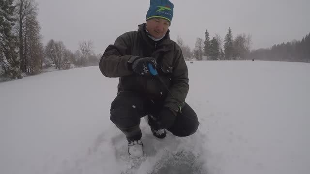 Ловля окуня на блесну зимой. Лучшие проводки зимней блесны.