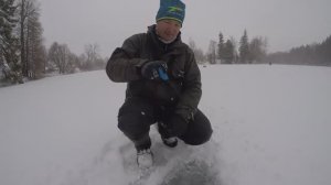 Ловля окуня на блесну зимой. Лучшие проводки зимней блесны.