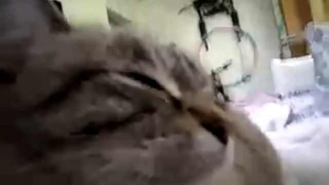 шизофрения моего друга смотреть онлайн