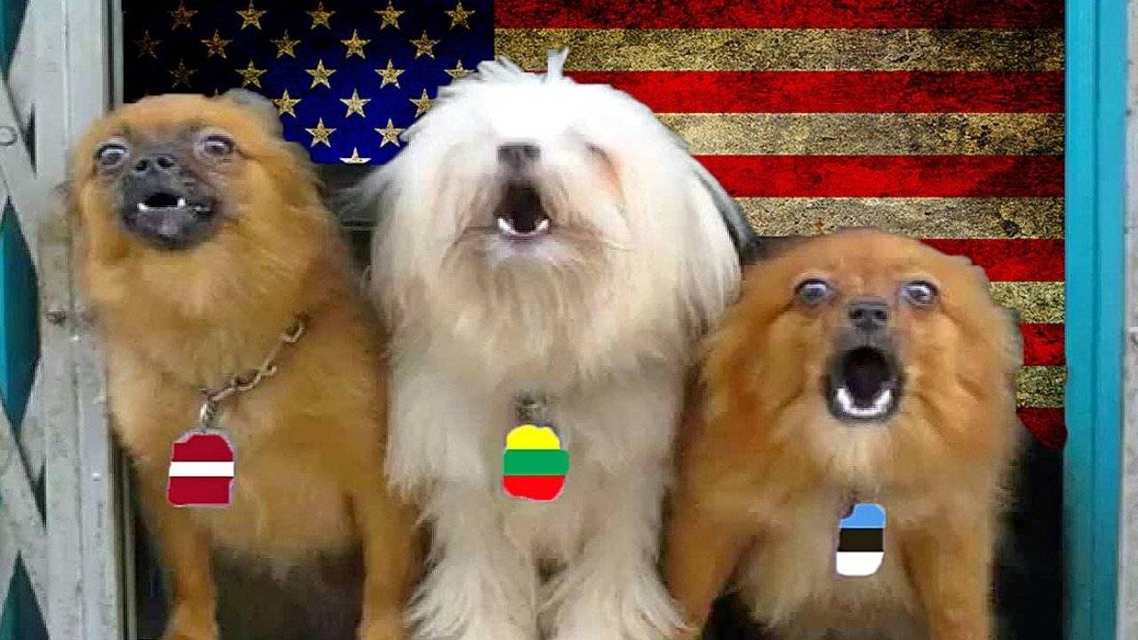 Судьба их нелепа,хоть и выглядят... смотреть онлайн