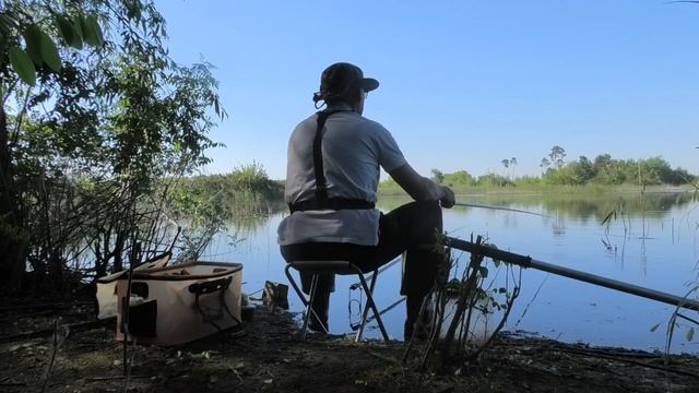 Душевная Рыбалка на Карася на Поплавок смотреть онлайн