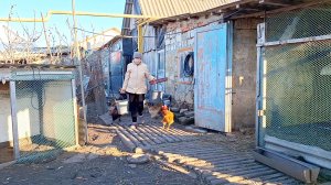 Вот так и живём на Кубани | Готовим обед в горшочках