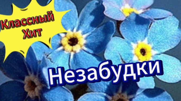 Классный Хит! Незабудки! смотреть онлайн