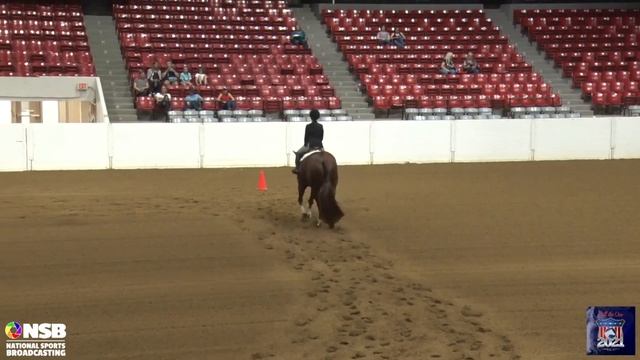 2021 Quarter Horse Congress Small Fry Hunt Seat Equitation Rail Alyvia Kladny on Dangerously Famous смотреть онлайн