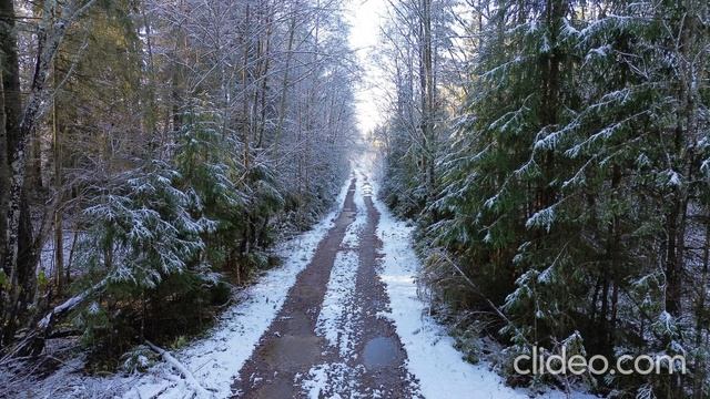 DJI MINI 3 Нарезка фото Санкт-Петербург и область