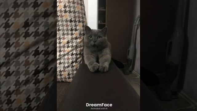 Ха ха ха смотреть онлайн