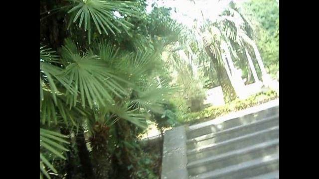 МЫ В Сочи - 2018 (ВАЛЕРА,ИРИНА,КСЮША,СНЕЖАНА).ДЕНДРАРИЙ смотреть онлайн