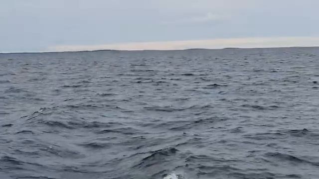 Едем на Соловки.  Белое море.