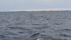 Едем на Соловки.  Белое море.