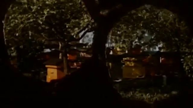 SŁODKIE RYTMY (1965) | Animacja | reż. Kazimierz Urbański смотреть онлайн