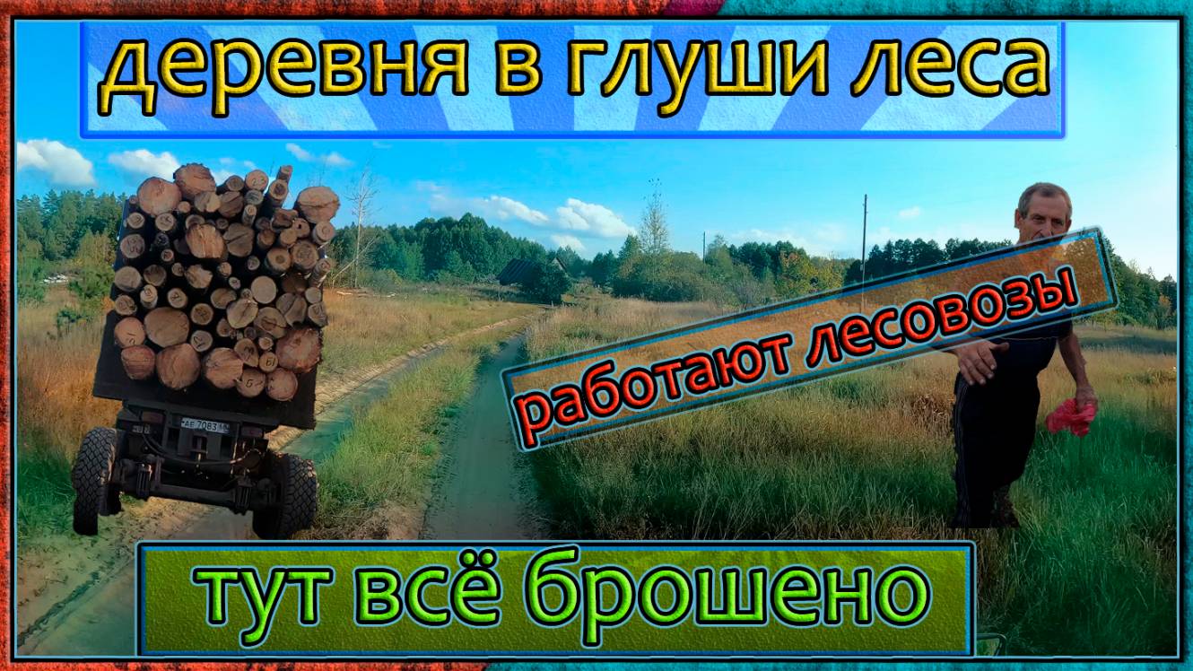 Лесные покатушки на мопеде альфа. Мотодальняк через лес смотреть онлайн