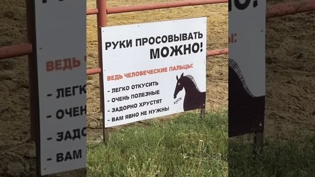 Так и есть... смотреть онлайн