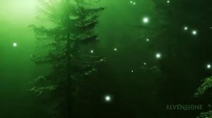 Музыка расслабление Мистический лес Enchanted Forest Music & Mystical Vocals Лес медитация сон