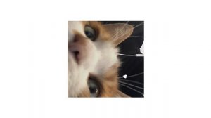 пошлая молли- адская колыбельная ( speed up ) 💗