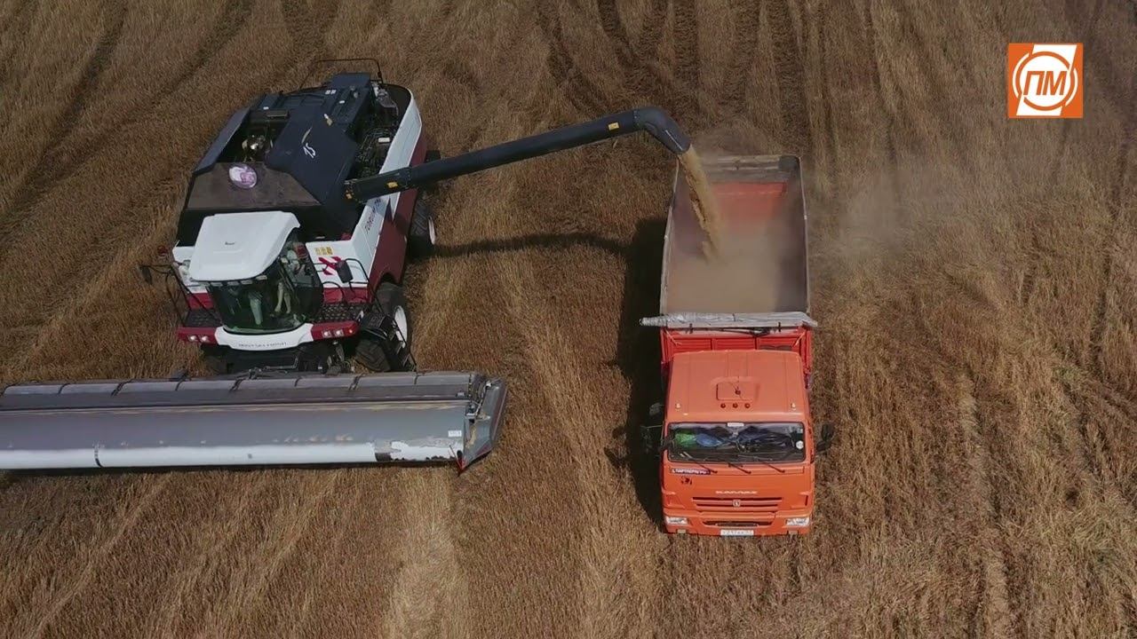 Жатка ОЗОН ПАО "ПЕНЗМАШ" Орловская область 2023 смотреть онлайн