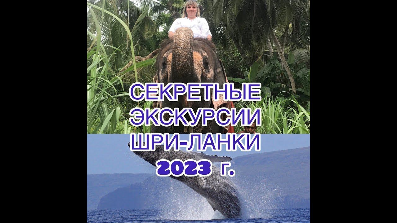 секретные экскурсии Шри-Ланки 2023 г. смотреть онлайн