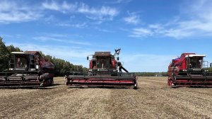 молотим разные культуры и настраиваем автопилот