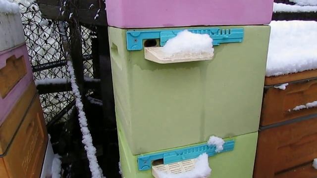 зимовка запасных маток и подкормка пчел в декабре канди с дрожжами, прошло 40 дней, 15.01.2025 смотреть онлайн