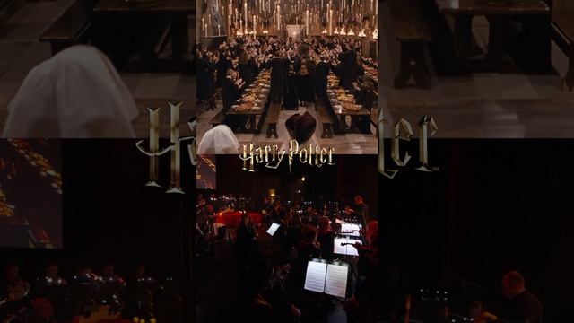 Гарри Поттер и Тайная Комната | Imperial Orchestra смотреть онлайн