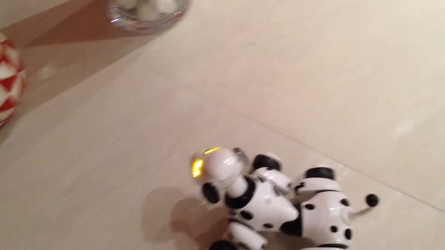 Zoomer go to sleep смотреть онлайн